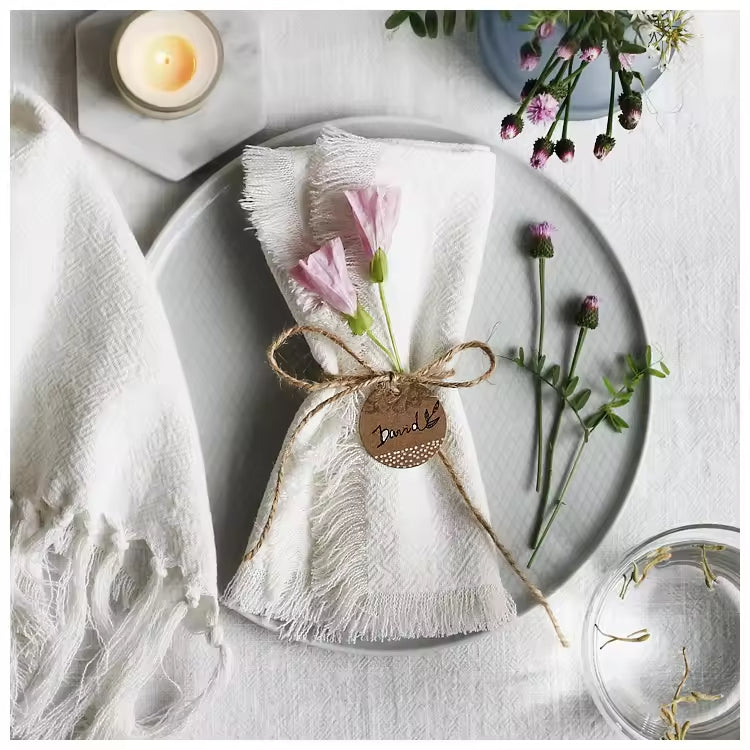 Elegant Cloth Placemats Custom Embroidery Diverse Fabrics For Dining Events HLPLA1004